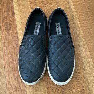 STEVE MADDEN Ecentrcq slip ons